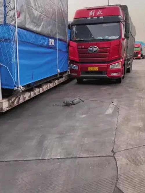 汽车事故最高赔多少